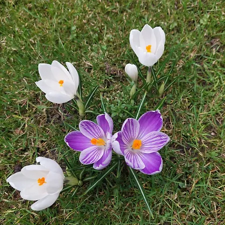 Goscinne Brzozowa 14 Séjour chez l'habitant