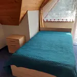 Goscinne Brzozowa 14 Homestay *