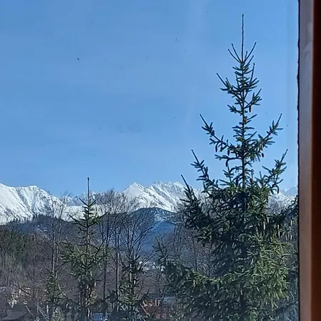 Goscinne Brzozowa 14 * Zakopane