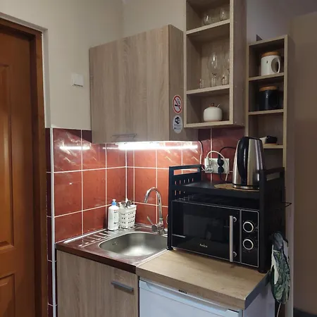 Goscinne Brzozowa 14 Homestay