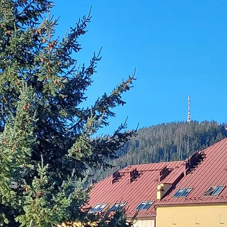 Goscinne Brzozowa 14 Accommodatie bij particulieren