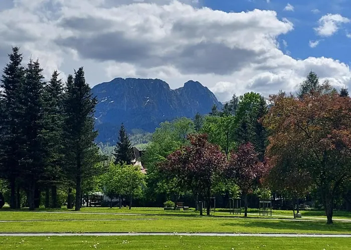 Accommodatie bij particulieren Goscinne Brzozowa 14 *